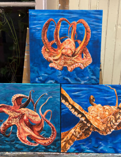 Un tryptique de tableaux à l'acrylique représentant des poulpes